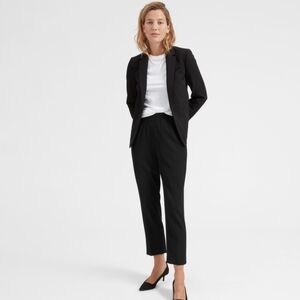 Everlane 100% Wool The Italian Go Weave Trouser Pant